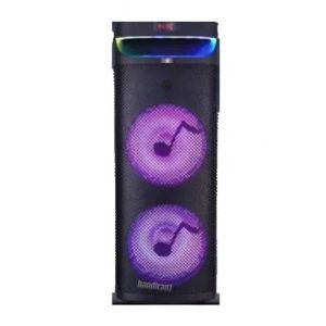 سو آرز یک تکه - شارژی - دو ساب10- SZ-2101DJ اسپیکر