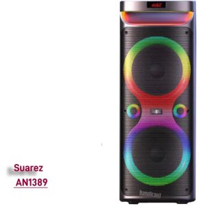 سو آرز یک تکه - شارژی - دو ساب10- SZ-2101DJ اسپیکر