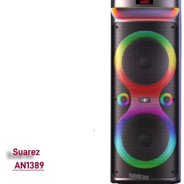 اسپیکر سو آرز یک تکه - شارژی - دو ساب10- SZ-2101DJ AN1389 - تصویر محصول
