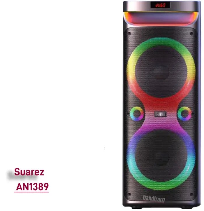 اسپیکر سو آرز یک تکه - شارژی - دو ساب10- SZ-2101DJ AN1389 - تصویر محصول